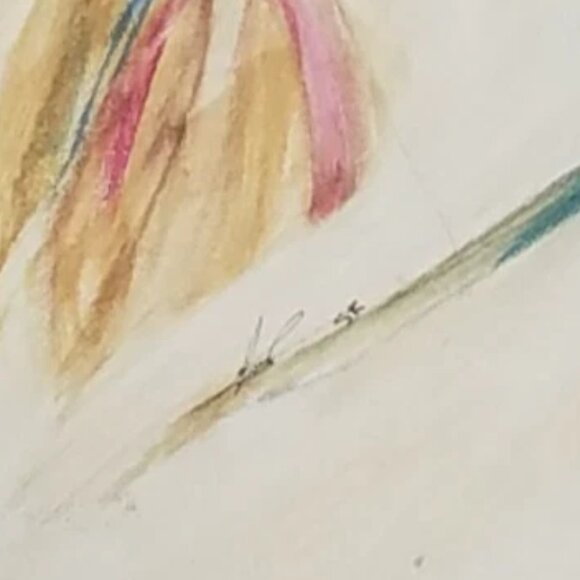 Beautiful Horse Original Art Oil Painting on canvas panel Dimensions: 11" x 14" - Picture 2 of 2